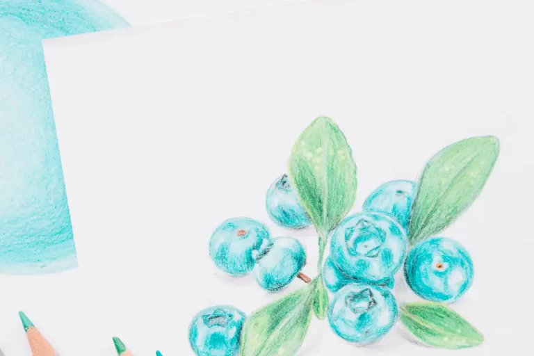 Ilustração de frutas azuis com folhas verdes em um fundo claro, destacando detalhes em lápis de cor.